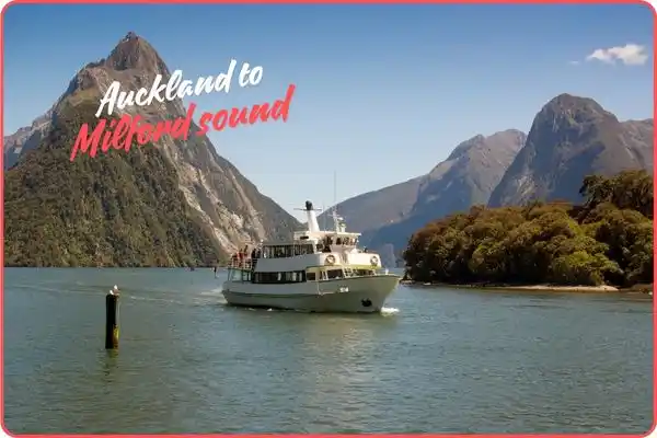 Auckland to Milford Sound