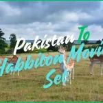 pakistan to habbiton